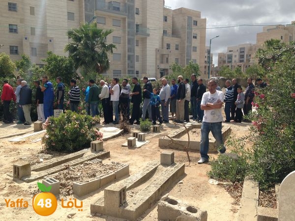 zbedajanaza45 (8).JPG